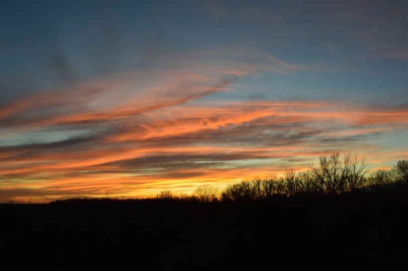 402BD3EC-FD52-4E22-896C-F9722FDBBE71