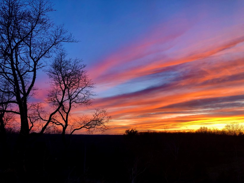 C3DF89A5-9300-40F1-8DAC-C4D8D2C7CE92_1_201_a