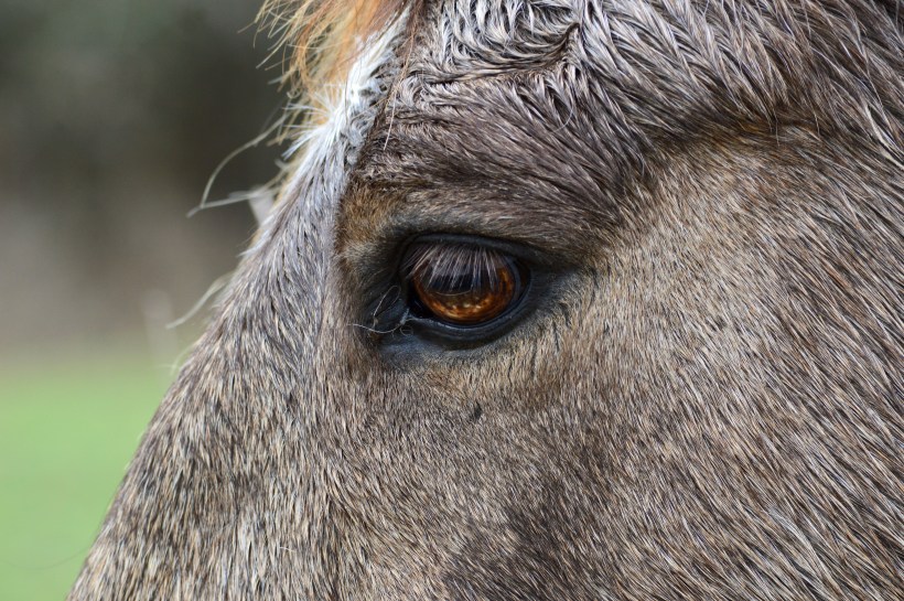 F5F321CC-EC86-428D-8884-D6669DBE7715_1_201_a