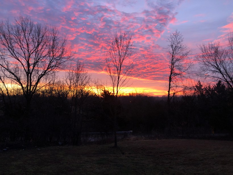 image_d9ab1391-23a9-4e62-9e57-07cb1fd44764.60570825612__17ebf2cc-73b8-4ae6-984a-069454f37d63