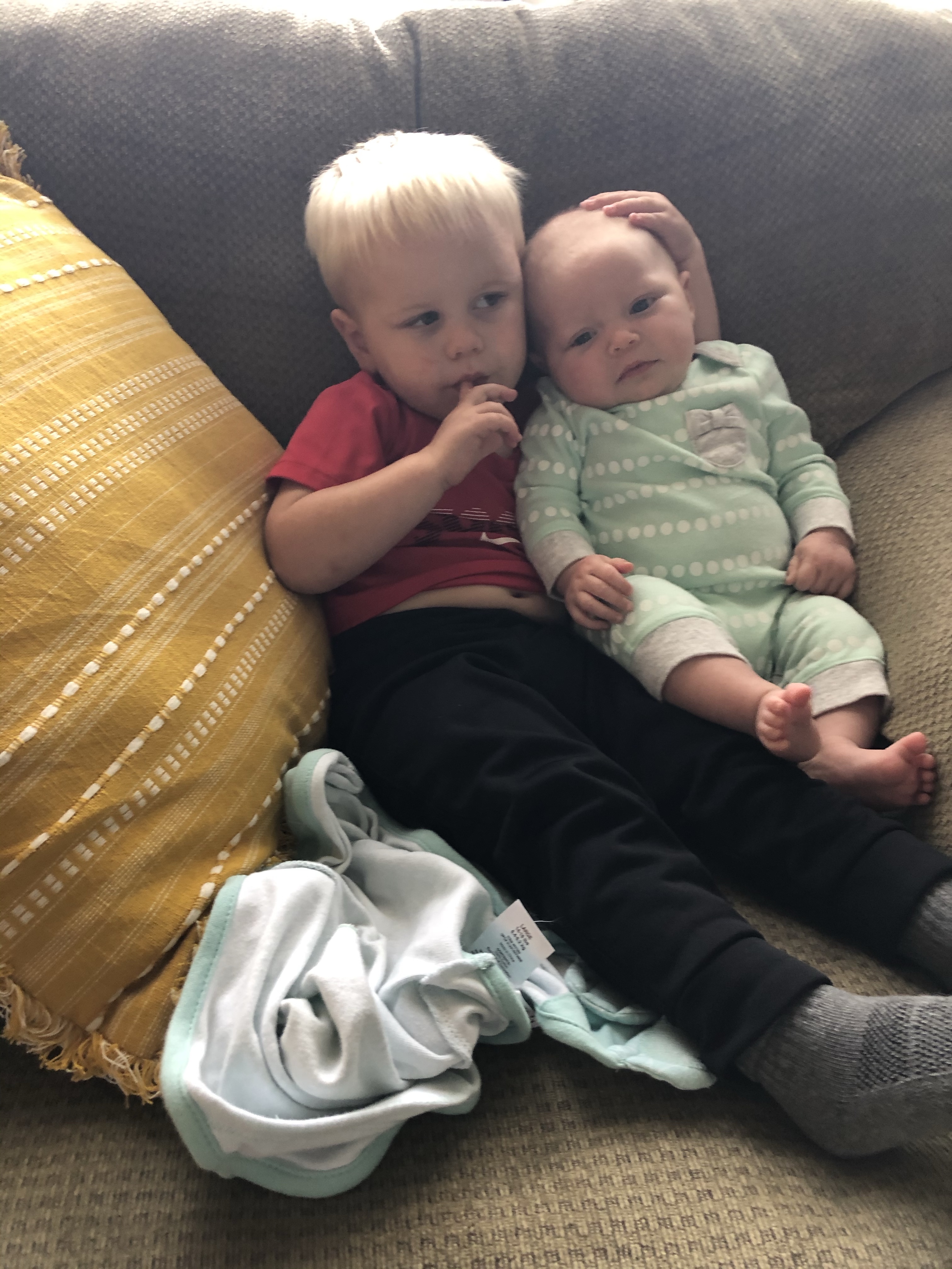 This image has an empty alt attribute; its file name is img_8224.jpg